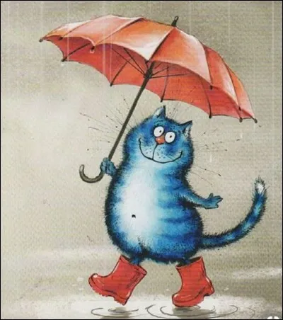 Que veut dire l'expression : "Se faire un chat bleu", que vous soyez au Touquet, à Lille, à Quimper ou bien à Paris dans le 8e arrondissement ?