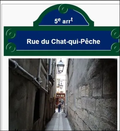 La rue du Chat-qui-pêche doit son nom à une légende du XVe siècle. Elle se situe à Paris dans le 5e arrondissement et une plaque historique est installée à même l'entrée de cette petite ruelle.