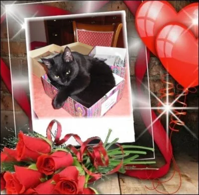 Quel est ce chanteur français qui interprète "Le Petit Chat est mort" ?