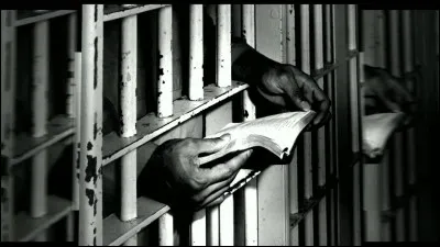 Johnny Hallyday fait une reprise de ''Diego libre dans sa tête''. Qui n'a pas cette chanson à son répertoire ?