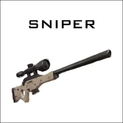 Question bonus : Parmi ces 5 fusils à sniper, lesquels sont toujours dans le jeu ?