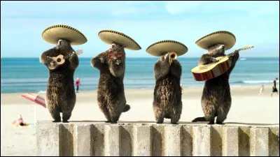 Trouvez le nom de ce pays et je ne vous embête plus !