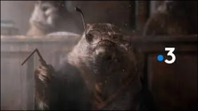 Trouvez la réponse à la baguette !