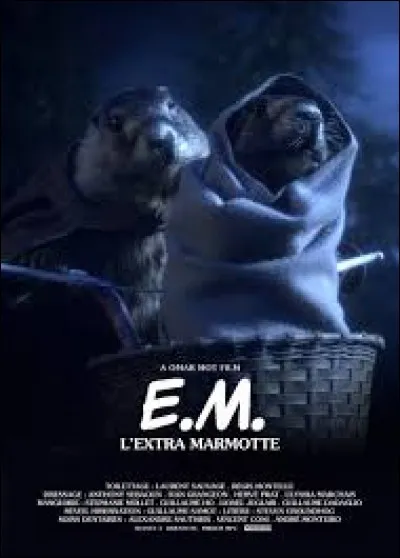 La réponse devrait vous revenir comme un coup de fil !