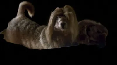 Et mes fesses, tu les aimes ?