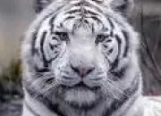 Quiz Quelle image correspond  chaque flin