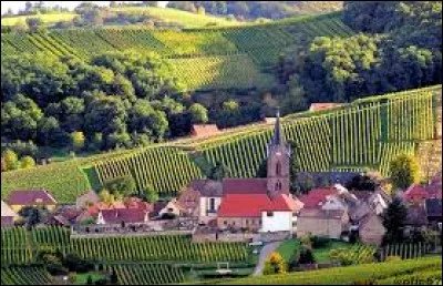 Je vous propose de partir dans le Grand-Est à la découverte de Rodern. Village de l'arrondissement de Colmar-Ribeauvillé, dans le parc naturel régional des Ballons des Vosges, il se situe dans le département ...