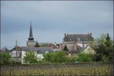 Nous partons dans les Pays-de-la-Loire, à Savennières. Commune viticole, dans la métropole Angevine, elle se situe dans le département ...