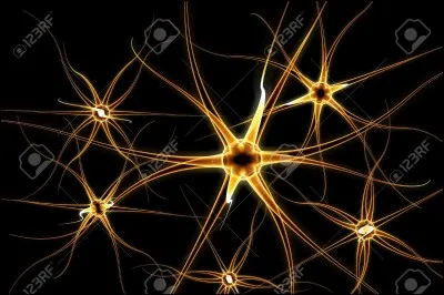 Que manque-t-il à "neu", qui est une cellule nerveuse ?