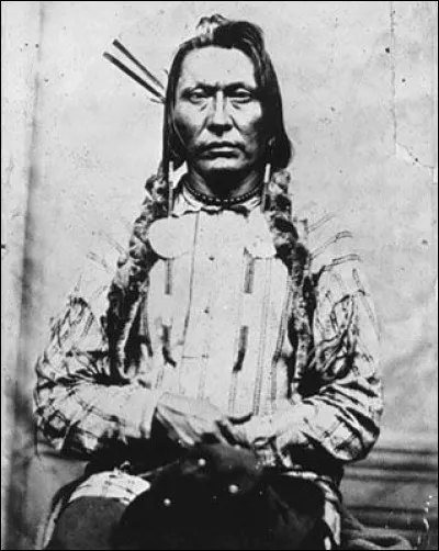 Chef Cri des plaines, vers 1870, il est préoccupé par la disparition du bison, la colonisation et les conditions des traités : à l'épuisement des troupeaux de bisons, ses Cris furent décimés par la famine. Lors de la rébellion des Métis de Riel, il fut emprisonné.
Qui est ce partisan de la paix, qui a mené avec plein d'alliances, la résistance face au gouvernement canadien, seconde moitié du 19e ?