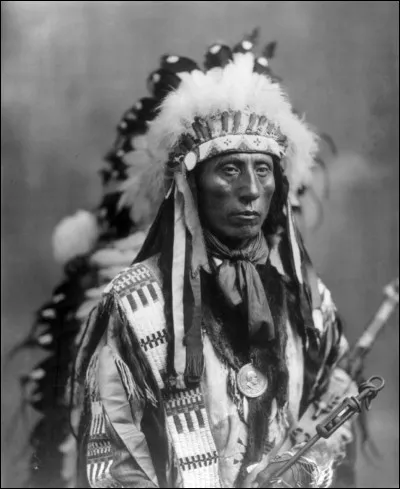 Chef Lakota, qui combattit l'armée qui voulait son territoire : il résista et signa le traité de Fort Laramie (1869) garantissant les Black Hills. La découverte d'or (expédition de Custer) mena à la Guerre des Sioux : les États-Unis saisirent leurs terres en 1877 en violation du traité.
Quel est le chef qui, tout en n'étant pas aussi radical que Crazy Horse, refusa de laisser ses terres aux Blancs