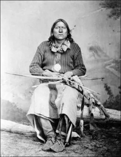 En 1866, il s'est imposé comme le leader de la faction guerrière des Kiowas. Célèbre pour son éloquence, il prit la parole lors du Traité de Medecine Lodge de 1867 où les Kiowas durent céder leurs terres contre une famélique réserve, ce qui les incita à résister.
Quel est ce chef qui, après s'être rendu pacifiquement, fut emprisonné plusieurs années (puis se suicida) suite à la Red River War ?