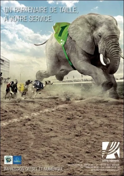 Nouvelle-Orléans : Si un éléphant est attaché à un parcmètre, il faut payer le stationnement !