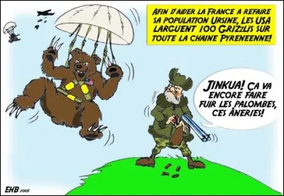 Israel : A Haifa, il est interdit d'apporter des ours sur la plage !