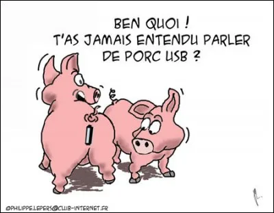 France : Appeler son cochon "Napoléon" est interdit !