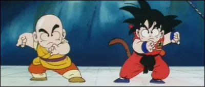 Dans cette grotte, nos trois héros ont maille à partir avec un robot.
Lequel ?