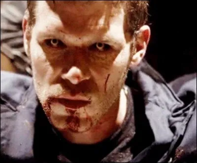 Comment s'appelle l'hybride originel ?