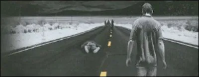 Année : 1979
Genre : Thriller psychologique. 
Personnages : Ray, Art, Peter, Stebbins. 
Indices : Mineur, militaire, commandant, exécution. 
Quel est ce livre ?