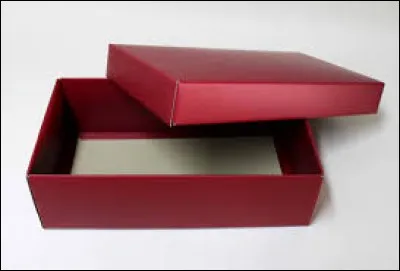 Année : 1980
Genre : Fantastique 
Personnages : Andrew, John, Captain James Hollister. 
Indices : Pyrokinésie, cobaye, télékinésie, tueur. 
Quel est ce livre ?