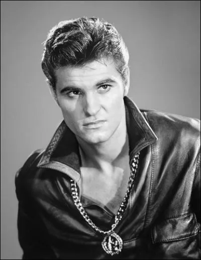 Le chanteur de rock britannique, appelé "l'Archange noir du rock", très connu entre 1960 et 65 et qui a fait l'essentiel de sa carrière en France, c'est ...