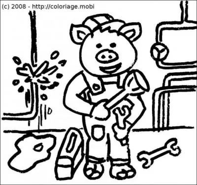 Je refais les jardins des autres