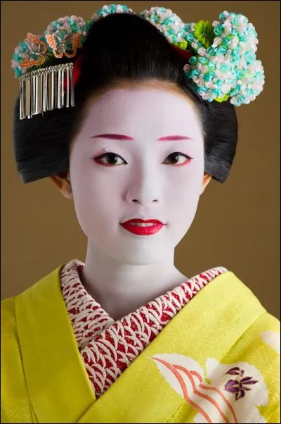 Comment appelle-t-on les apprenties geishas?