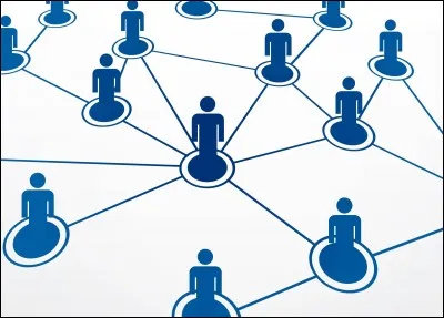 Si je vous dis « Toile d'araignée », vous répondez :