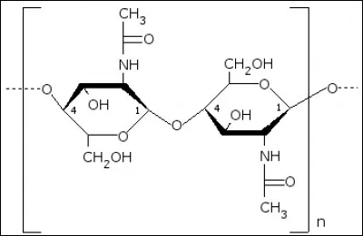 Si je vous dis « Protège l'araignée », vous répondez :