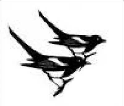 Chapeau de paille, c'est l'...