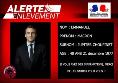 Proche du puma, bien que plus petit, on rencontre ce félin en Amérique latine et dans le Sud des Etats-Unis !