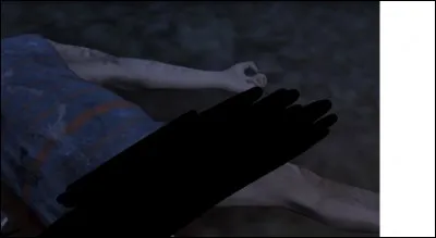 Où peut-on voir des PNJ nus ?