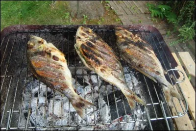 Dites-moi le nom de ces grillades ?