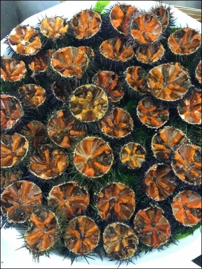 Qu'allons-nous manger ?