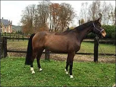 Quelle est cette robe ?