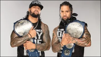 Quelle est cette équipe ?