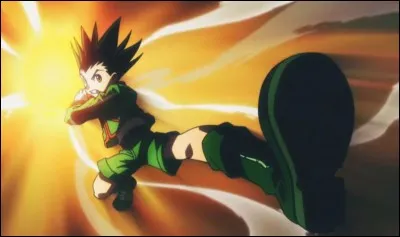 Comment s'appelle le jeu du père de Gon ?