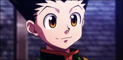 Quel dessin Hisoka a-t-il sous les yeux ?