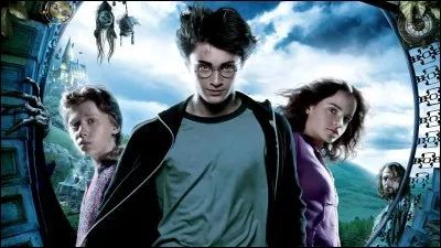 En quelle année Harry intègre-t-il l'équipe de Quidditch ?