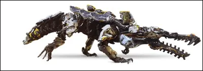 Comment s'appelle cette machine ?