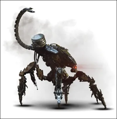 Comment s'appelle cette machine ?