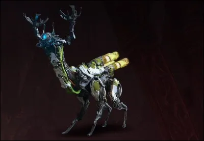 Comment s'appelle cette machine ?