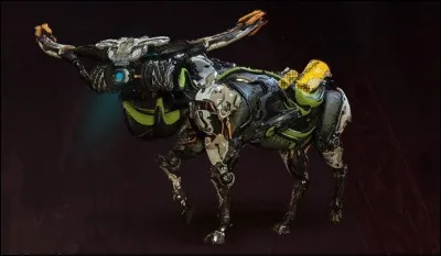 Comment s'appelle cette machine ?