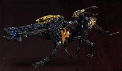 Comment s'appelle cette machine ?