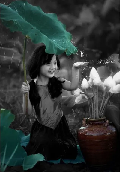 En Chine, selon une très ancienne tradition, il est organisé des combats d'animaux. Lesquels ?