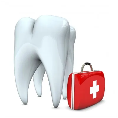 Combien de dents ont la plupart des adultes ?