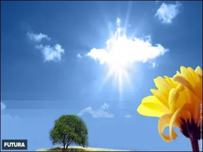 "Sea sex and sun" est une célèbre chanson de...