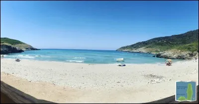 "L'été indien" était chanté par...