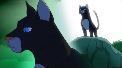 Quel chat a été son premier lieutenant ?