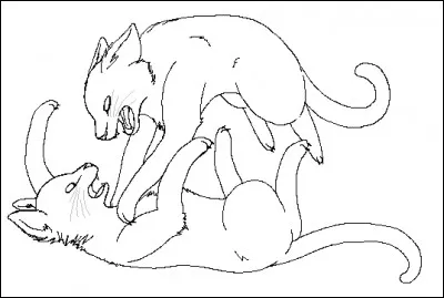 Contre quel chat ressent-elle une profonde rancur ?