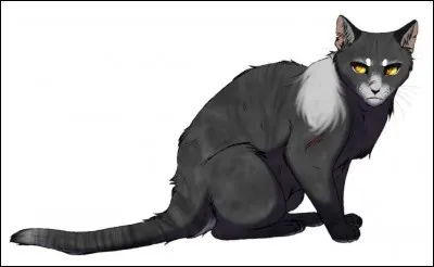 Comment décède-t-il ?